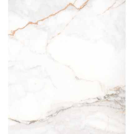 Calcutta Gold Venato by GNS Surfaces