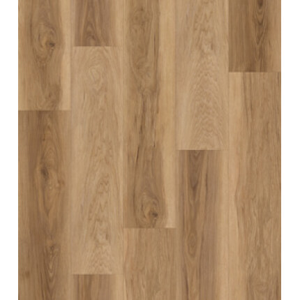 Coastal Oak SPC 7mm Hybrid on Special by GNS Surfaces