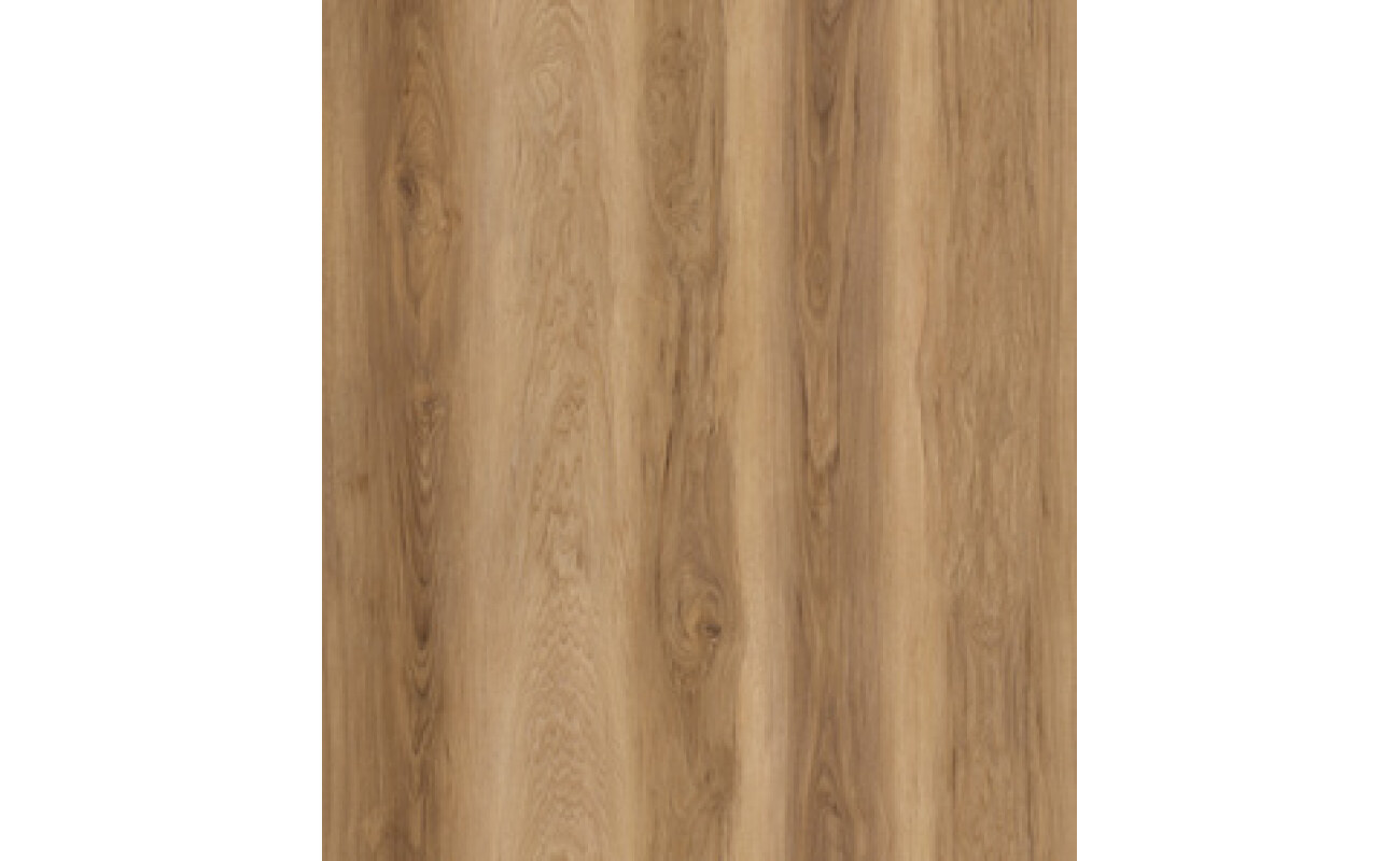 Coastal Oak SPC 7mm Hybrid on Special by GNS Surfaces
