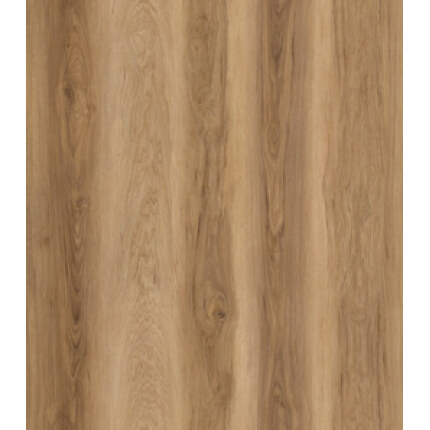 Coastal Oak SPC 7mm Hybrid on Special by GNS Surfaces